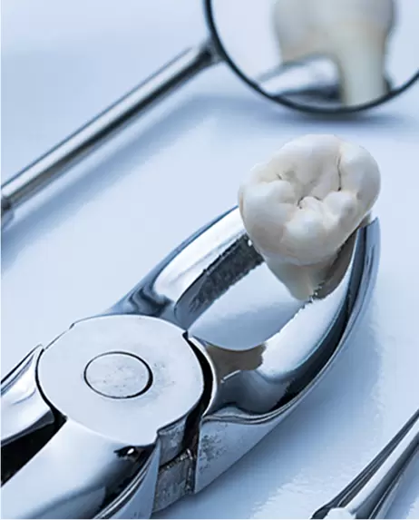 dental-instruments-300309-1773832866