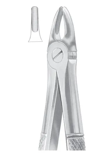 1033 Fig. 37 upper incisors for children