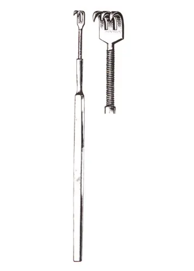 2 sharp prongs 6”