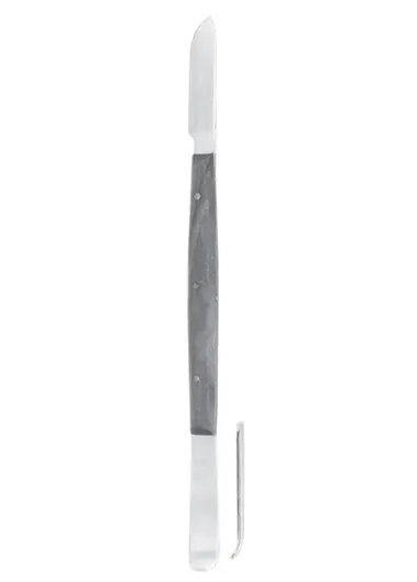 Fahnenstock Fig, 2 17cm