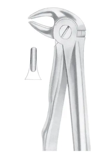 Fig. 13S lower premolars for children