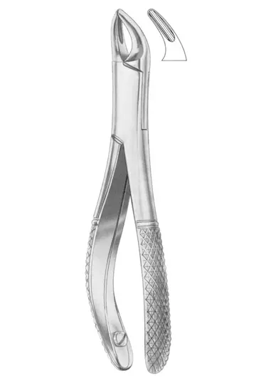 Fig. 365/150SK upper anteriors and roots