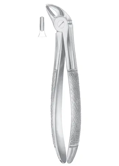 Fig. 38 lower incisors &  canines for children