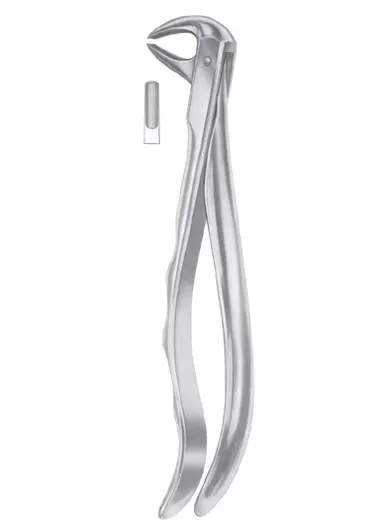Fig.  75 lower premolars