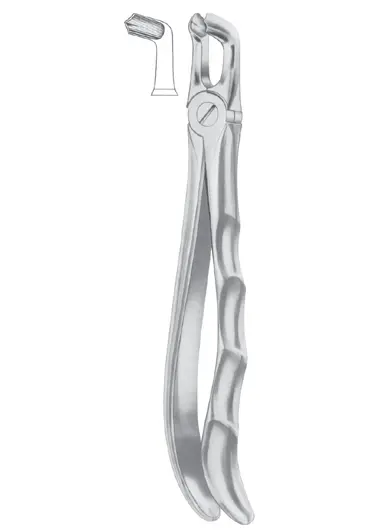 Fig.  79 lower third molars