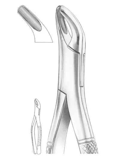 Fig. 8 upper and lower  third molars