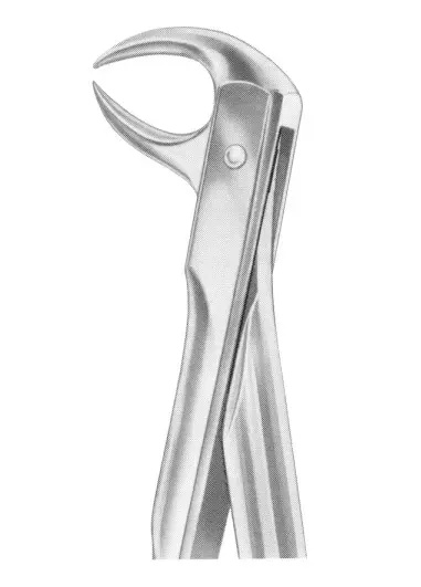 Fig.  86B lower molars