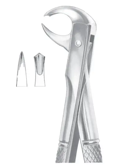 Fig. 99 1/4 lower molars