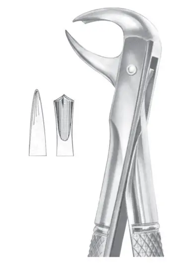 Fig. 99 ½ lower molars