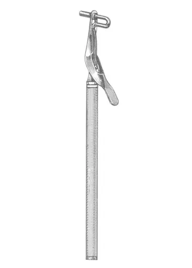 Large 15.5 cm