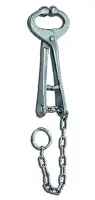 LIVESTOCK AND IDENTIFICATION EQUIPMENT