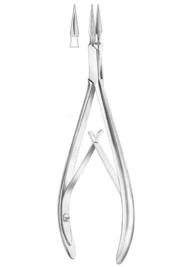 RALK Fig.  231 root fragments