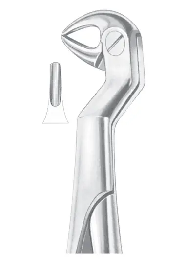 ROUTURIER (Fig. 214) ( 22 ½ L) lower molars and wisdom left