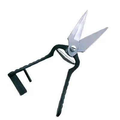 SCISSORS AND SHEARS