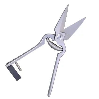 SCISSORS AND SHEARS